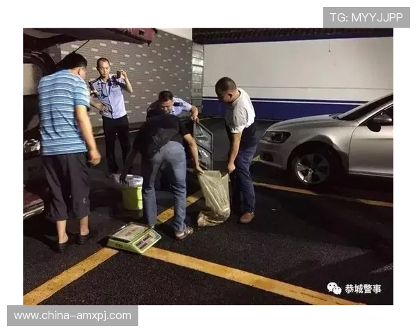 六合彩官网下载流程详解，帮助新手快速上手，确保每次投注都安全顺利